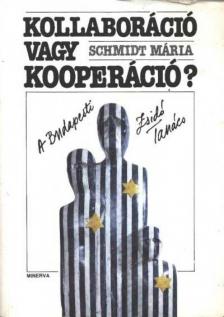 Schmidt Mária - Kollaboráció vagy kooperáció? [antikvár]
