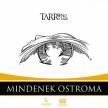 TARR BENCE LÁSZLÓ - Mindenek Ostroma [antikvár]