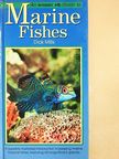 Dick Mills - An Interpet Guide to Marine Fishes [antikvár]