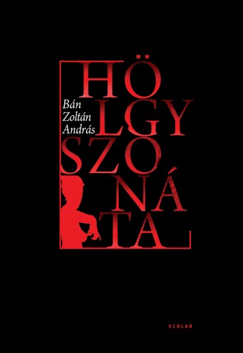 BÁN ZOLTÁN ANDRÁS - Hölgyszonáta és más történetek [eKönyv: epub, mobi, pdf]