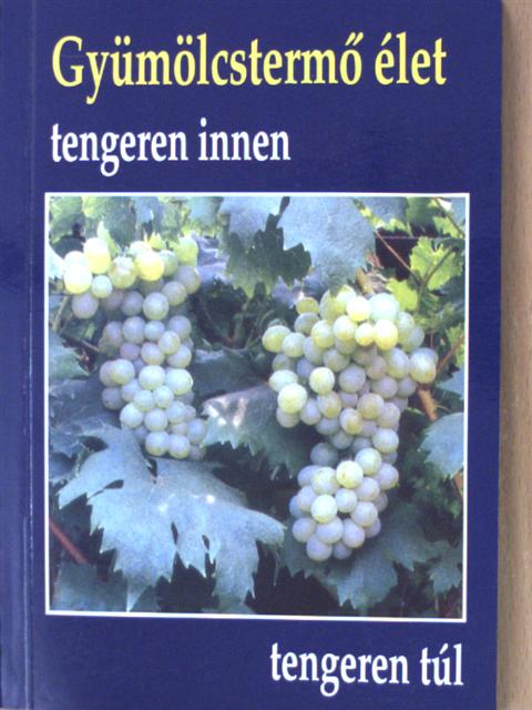 Varga Gizella - Gyümölcstermő élet tengeren innen, tengeren túl [antikvár]