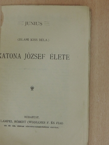 Junius - Katona József élete [antikvár]