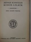 Arthur Schnitzler - Ködös lelkek/Boldog házasság/Ballada a néma férfiakról/New-Foundland zátonyain/Lelkierő [antikvár]