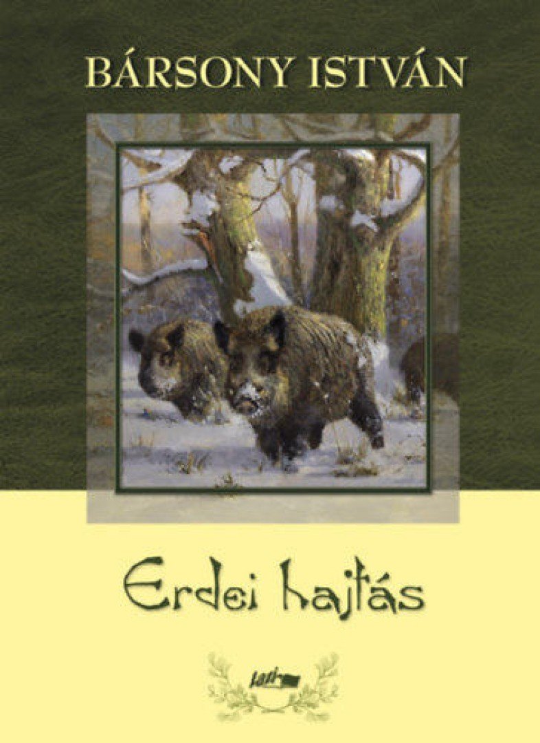 BÁRSONY ISTVÁN - Erdei hajtás [antikvár]