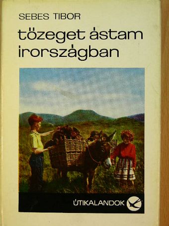 Sebes Tibor - Tőzeget ástam Írországban [antikvár]