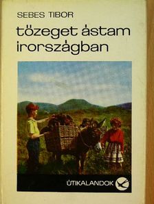 Sebes Tibor - Tőzeget ástam Írországban [antikvár]