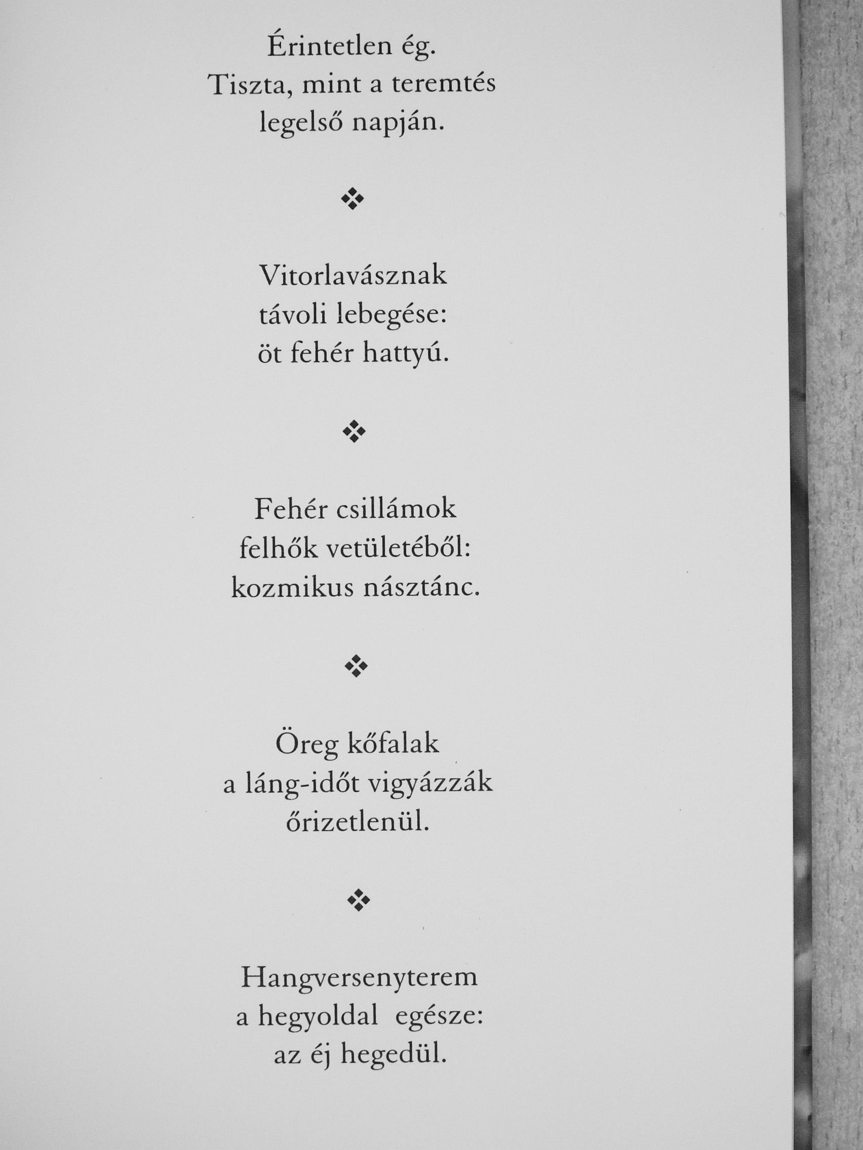 Acsádi Rozália - Gaudi-csipke [antikvár]