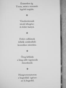 Acsádi Rozália - Gaudi-csipke [antikvár]