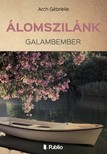 Gébrielle Arch - Álomszilánk [eKönyv: epub, mobi]