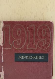 1919 - Mindenkihez! (minikönyv) (számozott) [antikvár]