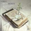 Bach - MOTETS SACD SUZUKI, BACH COLLEGIUM JAPAN