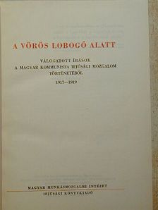 A. V. Lunacsarszkij - A vörös lobogó alatt [antikvár]