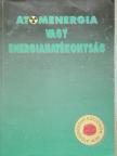 Haller István - Atomenergia vagy energiahatékonyság [antikvár]