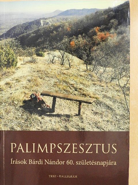 Kulcsár Beáta - Palimpszesztus [antikvár]