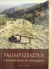 Kulcsár Beáta - Palimpszesztus [antikvár]