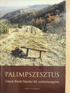 Kulcsár Beáta - Palimpszesztus [antikvár]