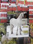 Borsó Béla - Lovas Nemzet 2006. (nem teljes évfolyam) [antikvár]