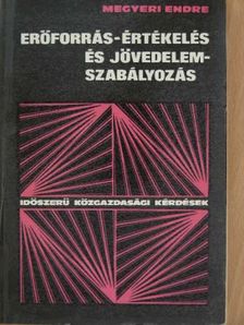Megyeri Endre - Erőforrás-értékelés és jövedelemszabályozás [antikvár]