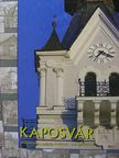 Ábrahám Levente - Kaposvár és környéke [antikvár]