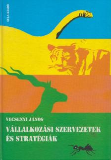 Vecsenyi János - Vállalkozási szervezetek és stratégiák [antikvár]