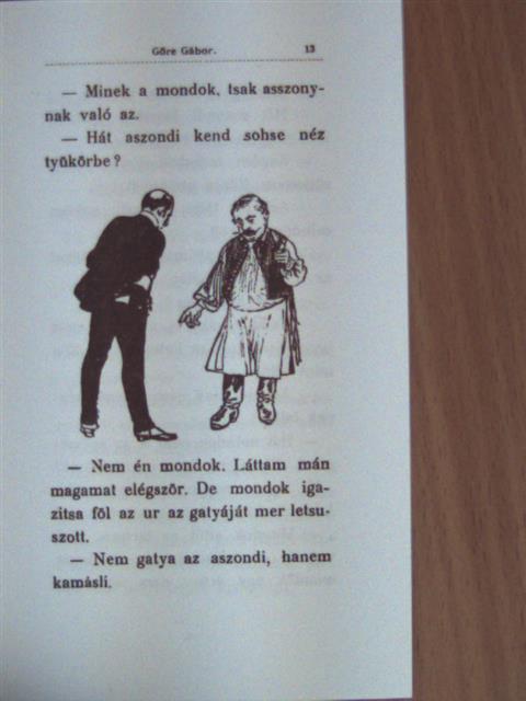 Gárdonyi Géza - A Pesti úr [antikvár]