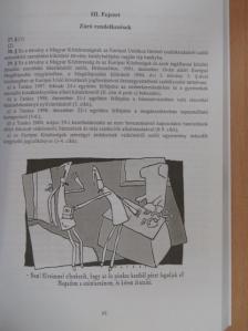 Korrupció elleni küzdelem [antikvár]