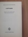 Franz Xaver Fleischhacker - Cattaro [antikvár]