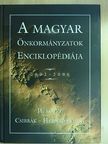 A magyar önkormányzatok enciklopédiája 2002-2006 II. [antikvár]
