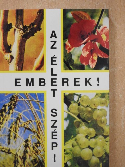 Szenthelyi-Molnár István - Emberek! Az élet szép! [antikvár]