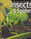 Noel Tait - Insects & Spiders [antikvár]