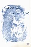 Gombkötő Csaba - Ecseted hó [antikvár]