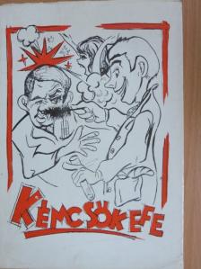 Dr. Polinszky Károly - Kémcsőkefe [antikvár]