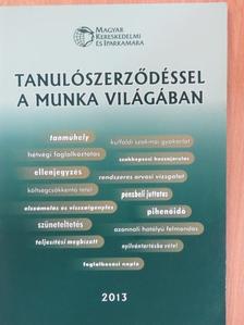 Gészné Kocsis Márta - Tanulószerződéssel a munka világában [antikvár]