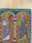 Éva Kovács - Limoges Champlevé Enamels in Hungary [antikvár]