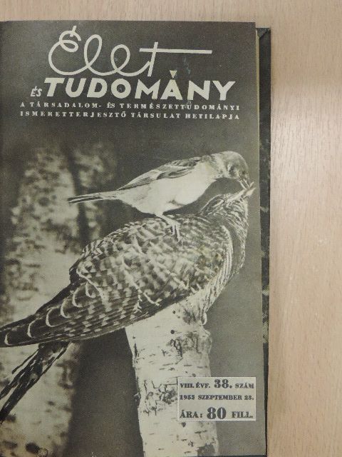 Dr. Lányi György - Élet és Tudomány 1955. (nem teljes évfolyam) [antikvár]