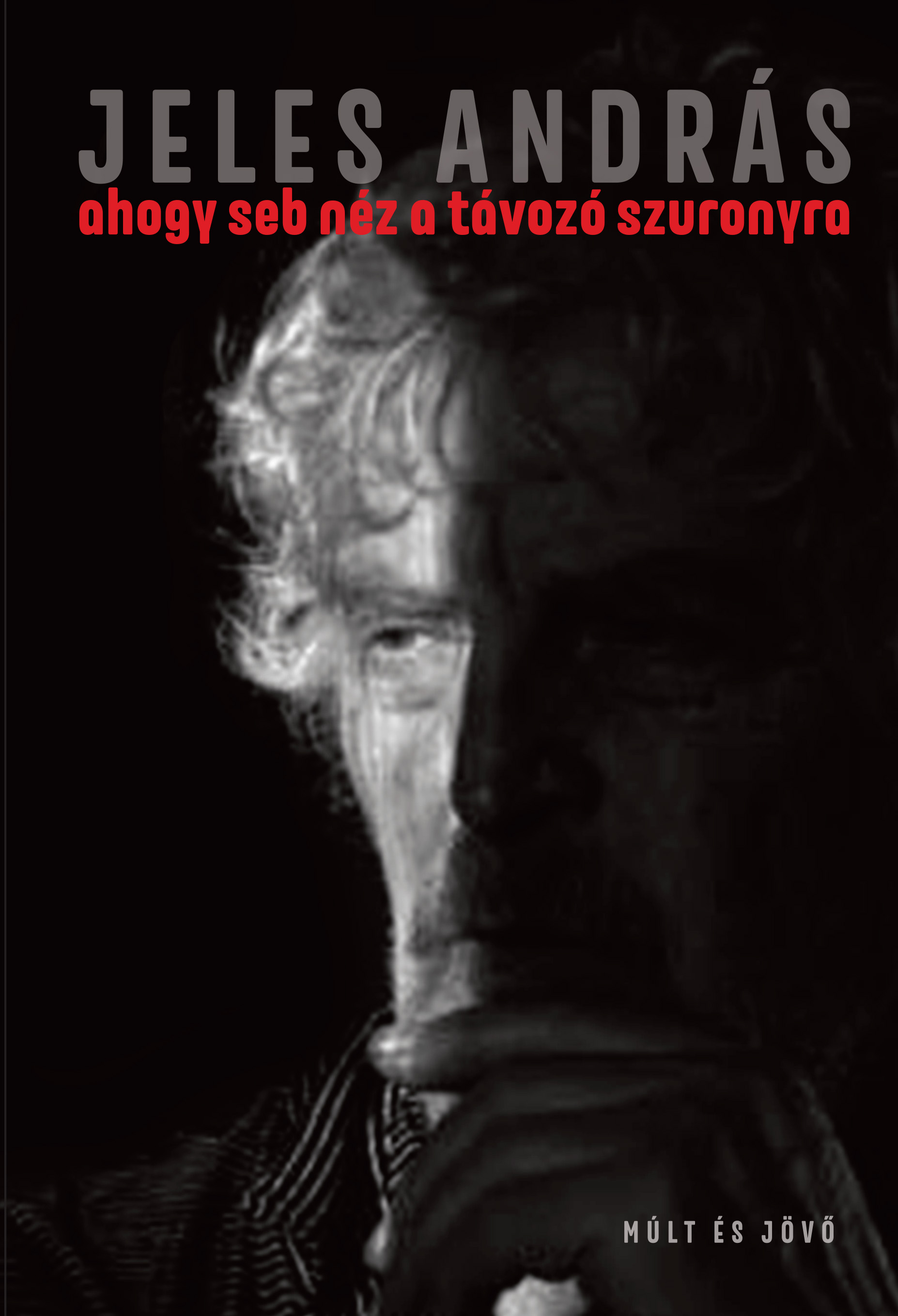 Jeles András - ahogy seb néz a távozó szuronyra