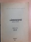 Lánghegesztés [antikvár]