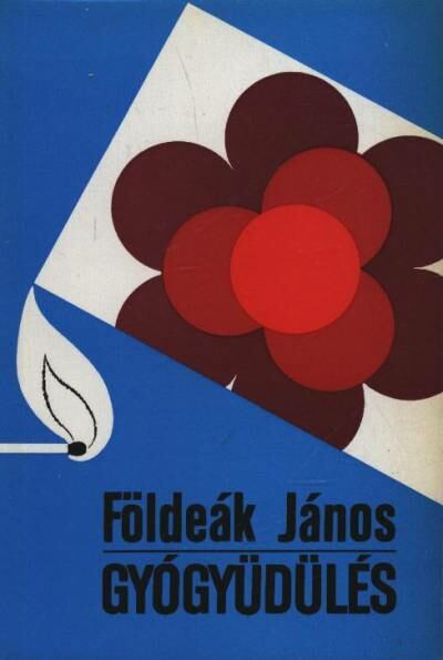 FÖLDEÁK JÁNOS - Gyógyüdülés [antikvár]