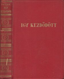 Brehm, Bruno - Igy kezdődött [antikvár]