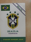 Marcelo Leme de Arruda - Brazília futballtörténete [antikvár]