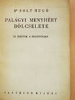 Dr. Solt Hugó - Palágyi Menyhért bölcselete [antikvár]