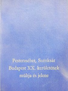 Dr. Kubinyi András - Pesterzsébet, Soroksár Budapest XX. kerületének múltja és jelene [antikvár]