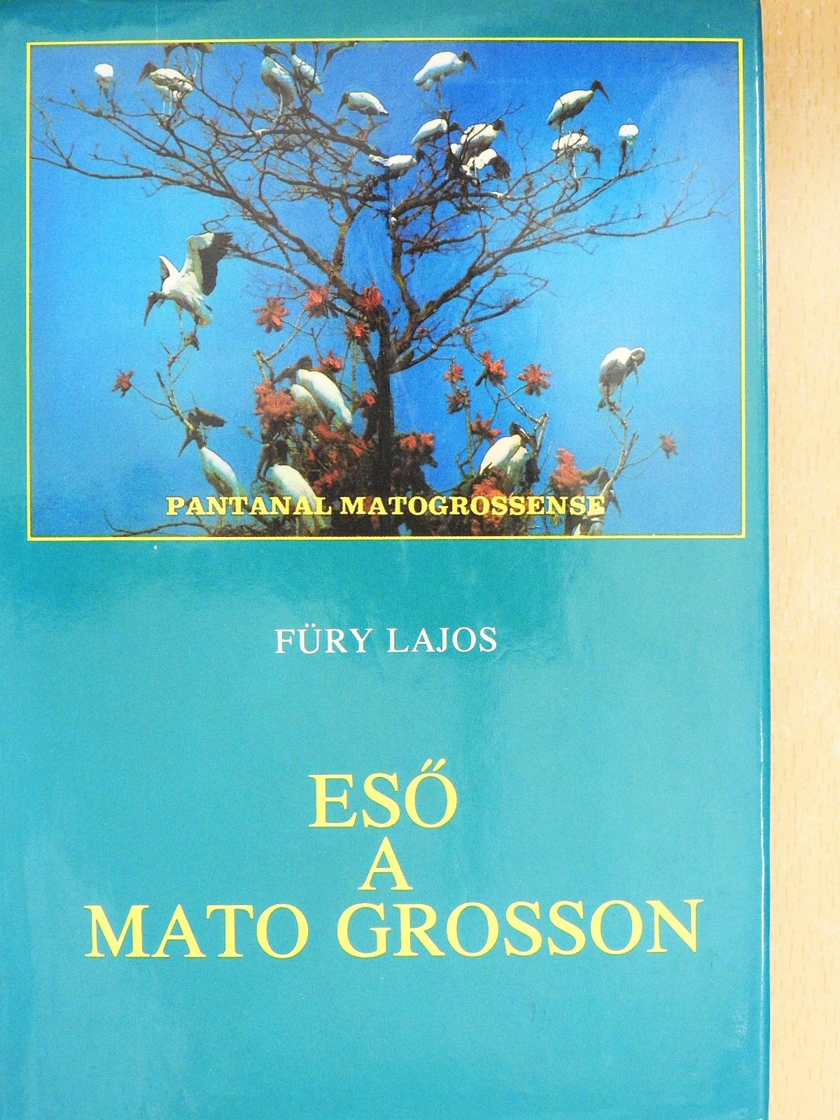 Füry Lajos - Eső a Mato Grosson (dedikált példány) [antikvár]
