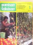 Czáka Sarolta - Kertészet és Szőlészet 1979. január-december [antikvár]