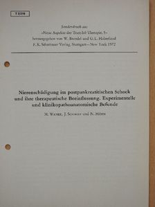 J. Schmidt - Nierenschädigung im postpankreatitischen Schock und ihre therapeutische Beeinflussung. Experimentelle und klinikopathoanatomische Befunde [antikvár]