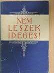 Massmann József - Nem leszek ideges! [antikvár]