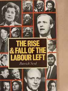 Patrick Seyd - The rise and fall of the labour left [antikvár]