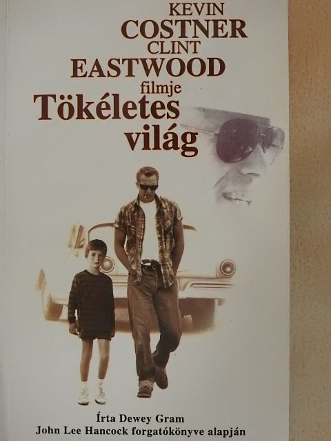 Dewey Gram - Tökéletes világ [antikvár]