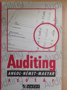 Auditing szótár [antikvár]