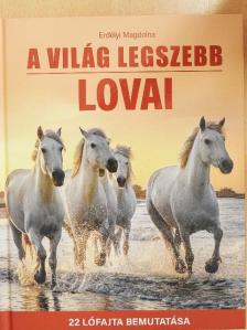 Erdélyi Magdolna - A világ legszebb lovai [antikvár]